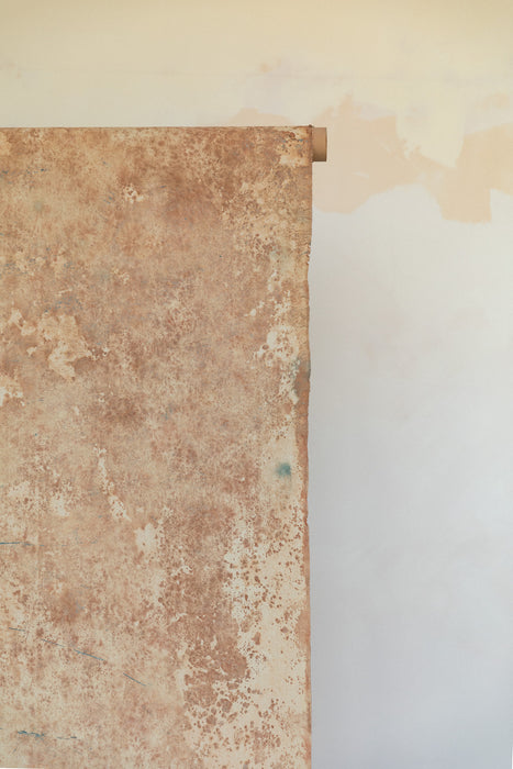 April Fawn #0620 Double-Sided Medium Sandstone Study Hand Painted Canvas Backdrop