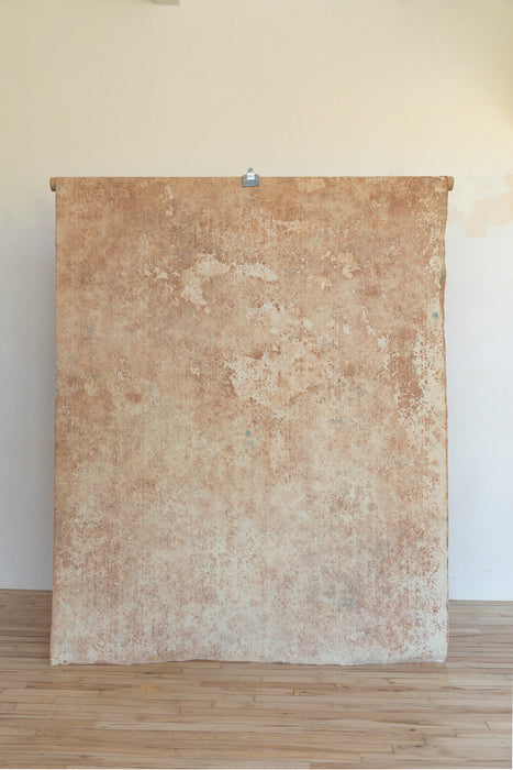 April Fawn #0620 Double-Sided Medium Sandstone Study Hand Painted Canvas Backdrop
