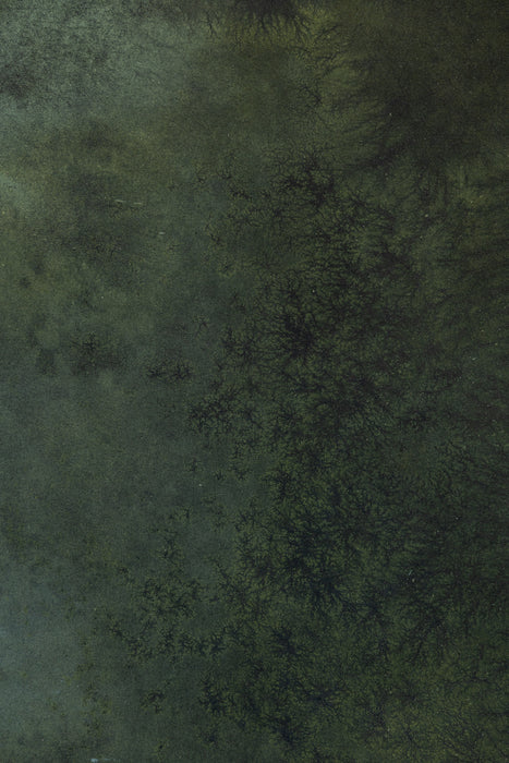 Isle of Greens #0637 Double-Sided Small Hand Painted Canvas Backdrop