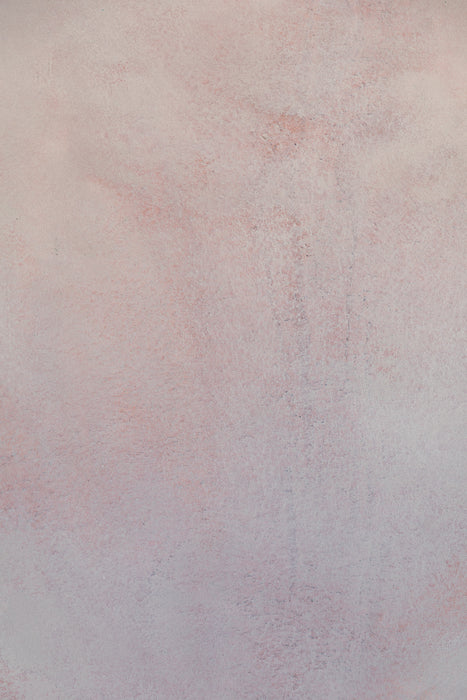 New Pink #0638 Double-Sided Small Hand Painted Canvas Backdrop