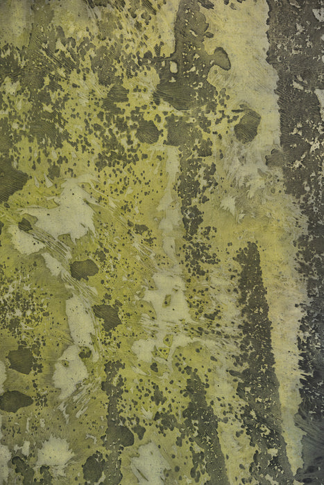 March Moss #0639 Double-Sided Large Hand Painted Canvas Backdrop
