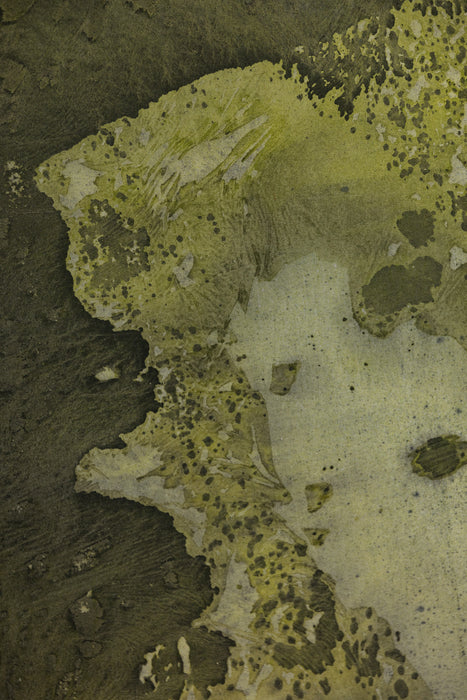 March Moss #0639 Double-Sided Large Hand Painted Canvas Backdrop
