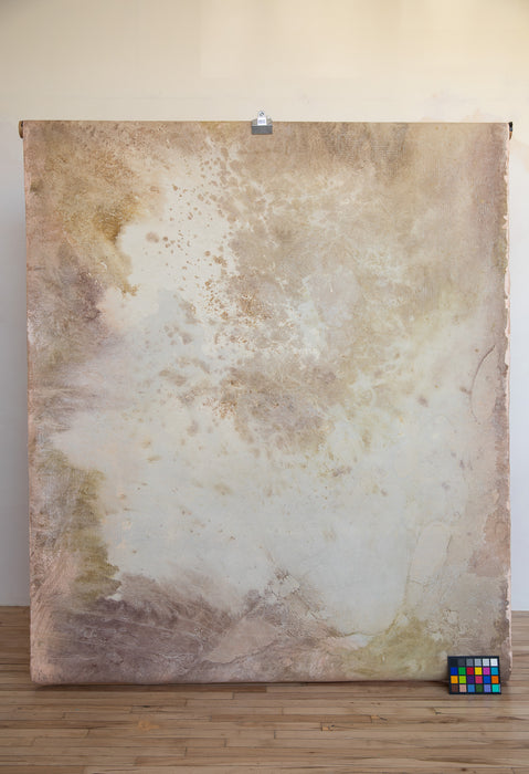 Weeping Rock #0644 Double-Sided Medium Hand Painted Canvas Backdrop