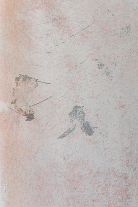 New Pink #0638 Double-Sided Small Hand Painted Canvas Backdrop