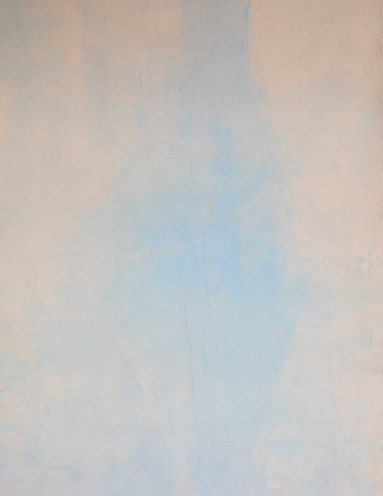 Beach View Hue #0002 // Large Canvas Backdrop.