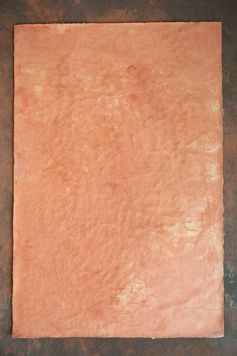 Cracked Kanab Clay #0266 Hand Painted Flatlay Surface