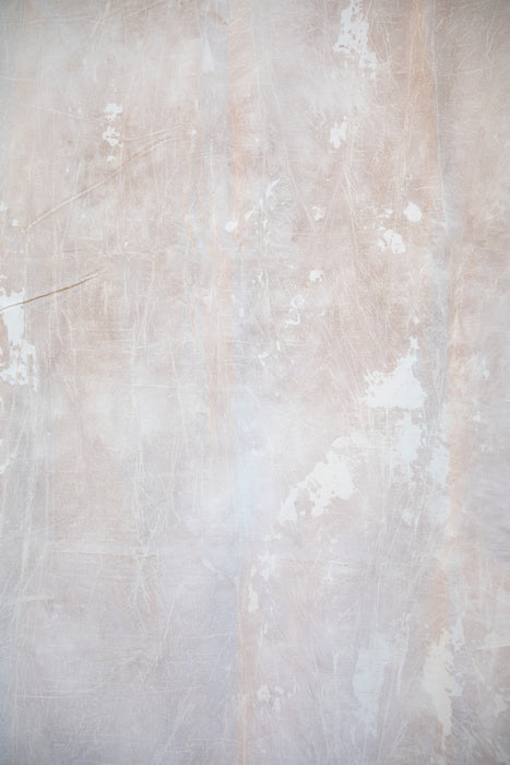 Desert Bloom #0690 6’8”x10’ Hand Painted BIG Muslin Backdrop in a Bag
