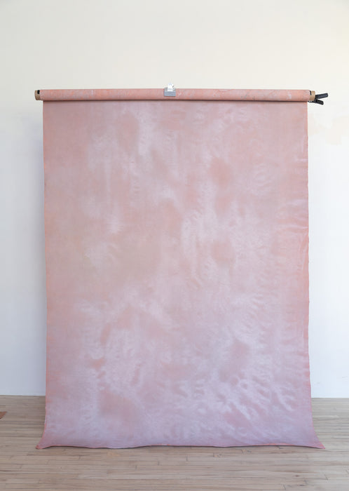 Sentience #0758 Large Painted Canvas Backdrop