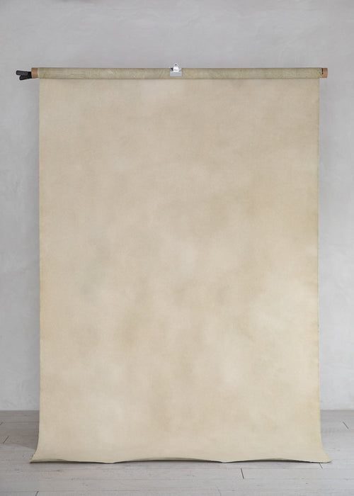 New Green #0798 Large Painted Canvas Backdrop