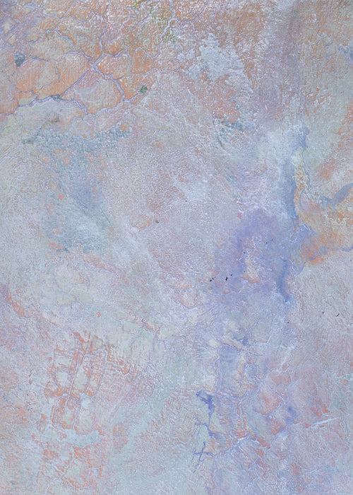 Desert Garden #0518 Medium Hand-Painted Canvas Backdrop