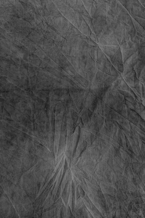 RENTAL ONLY! "Double Dual" XXL Hand Painted Muslin Backdrop