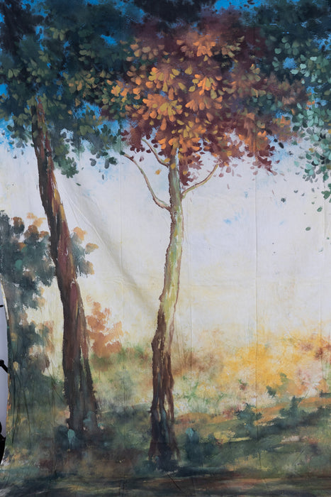 RENTAL ONLY! "Kitch Forrest" #0881 L Large Hand Painted Backdrop Rental