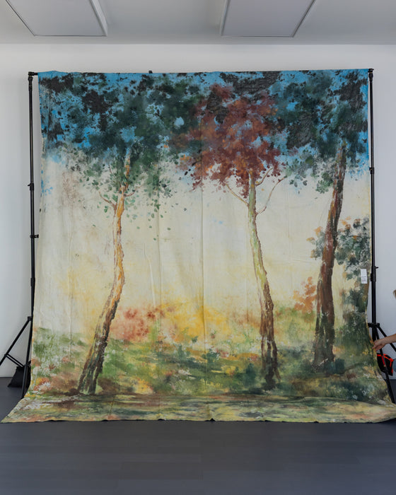 RENTAL ONLY! "Kitch Forrest" #0881 L Large Hand Painted Backdrop Rental