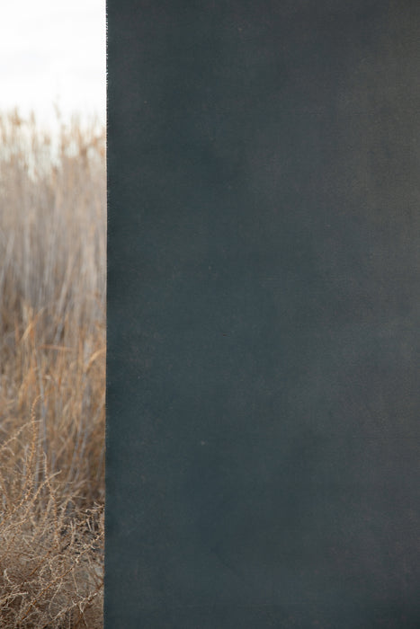 Tall Grass #0750 XLarge Painted Canvas Backdrop