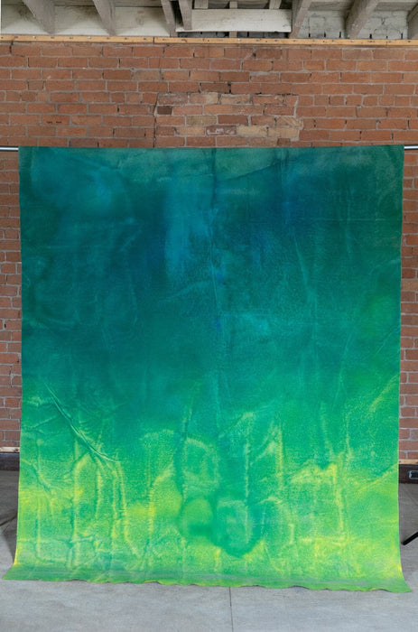 Bold Study #0022 // Large Canvas Backdrop