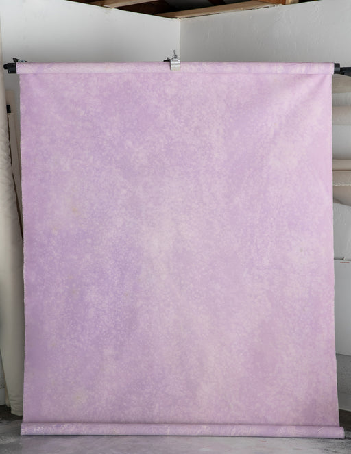 Prince #0194 // Large Hand-Painted Canvas Backdrop.