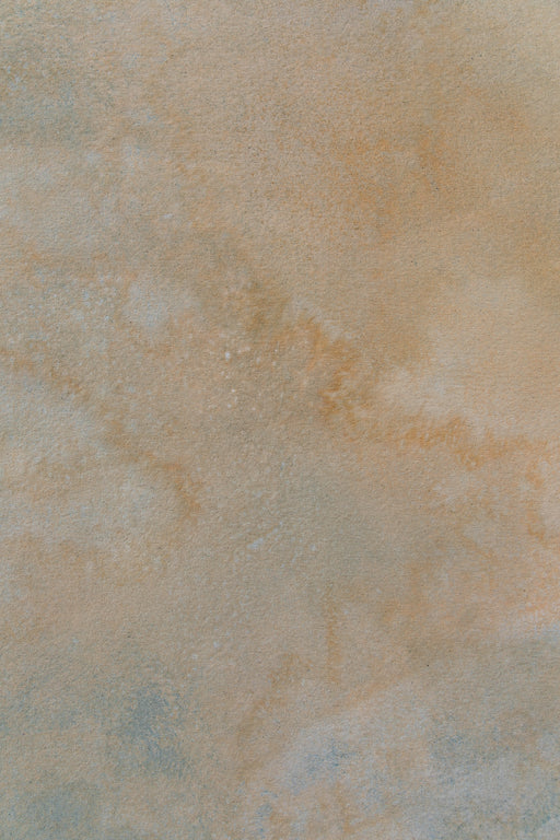 Suntea and Sage #0220 // Large+ Hand-Painted Canvas Backdrop.