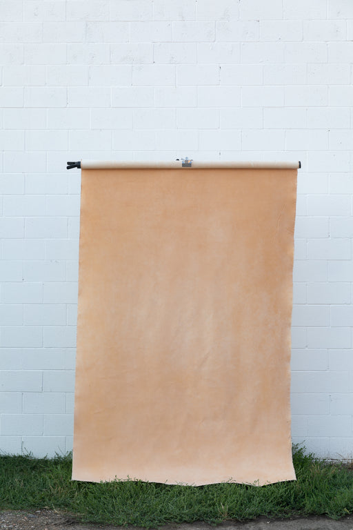 Sandstone Champage #0213 -Sandstone Study // Large Hand-Painted Canvas Backdrop.