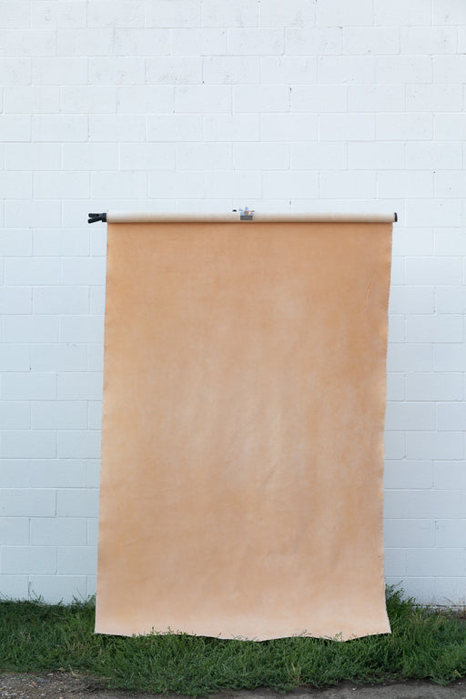 Sandstone Champage #0213 -Sandstone Study // Large Hand-Painted Canvas Backdrop.