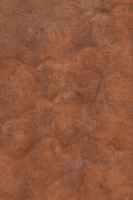 Sun-Dried Tobacco #0223 // Large Hand-Painted Canvas Backdrop.