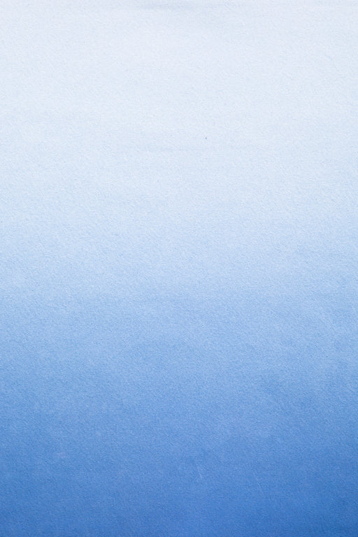 Cannes II #0215 // Small Hand-Painted Canvas Backdrop.