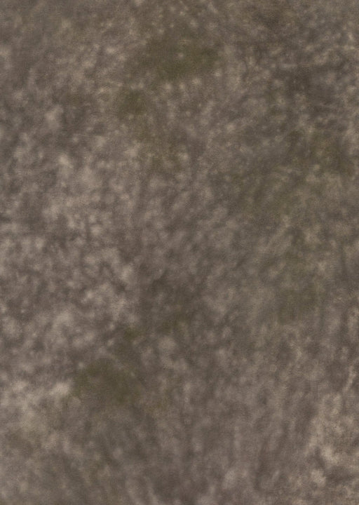 Mycelial #0266 // Large+ Hand-Painted Canvas Backdrop.