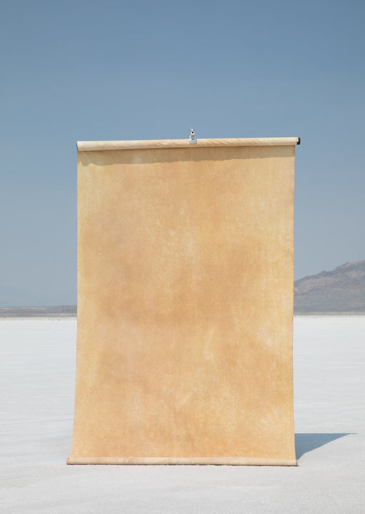 Prarie #0242 // Large+ Hand-Painted Canvas Backdrop.