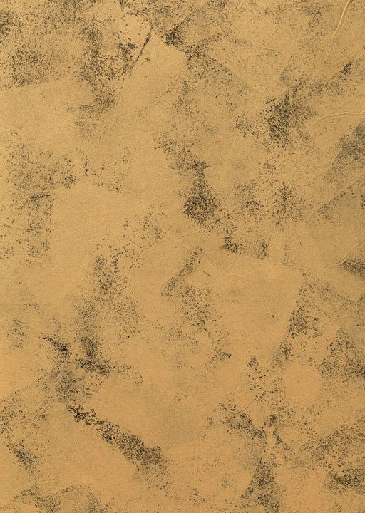 Onyx and Pyrite #0239 // Large+ Hand-Painted Canvas Backdrop.