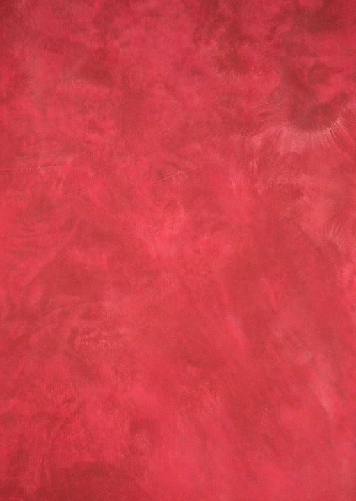 Deadstock Red #0257 // Large+ Hand-Painted Canvas Backdrop.