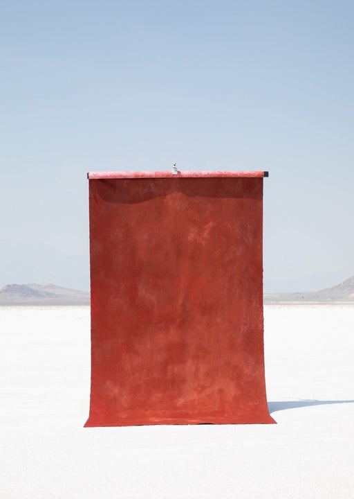 Autumn Hide #0258 // Large+ Hand-Painted Canvas Backdrop.