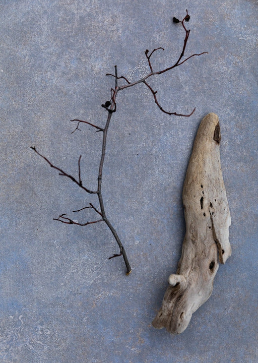Arid Periwinkle // #0320 Mini Painting.