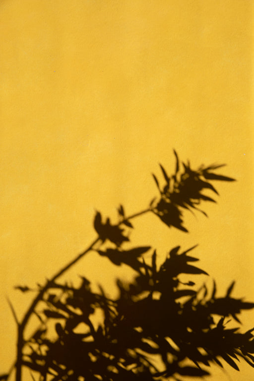 Meyer #0360 // *Odd Large Hand-Painted Canvas Backdrop.