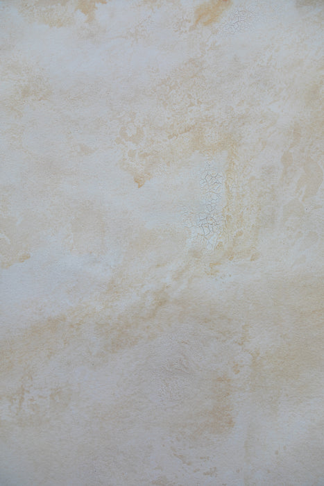 Vermillion Clay #0363 // Large+ Hand-Painted Canvas Backdrop.