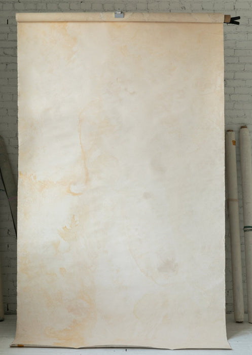 Dixon Soils #0364 // Large+ Hand-Painted Canvas Backdrop.