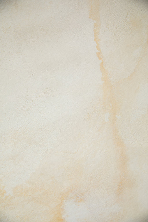 Dixon Soils #0364 // Large+ Hand-Painted Canvas Backdrop.