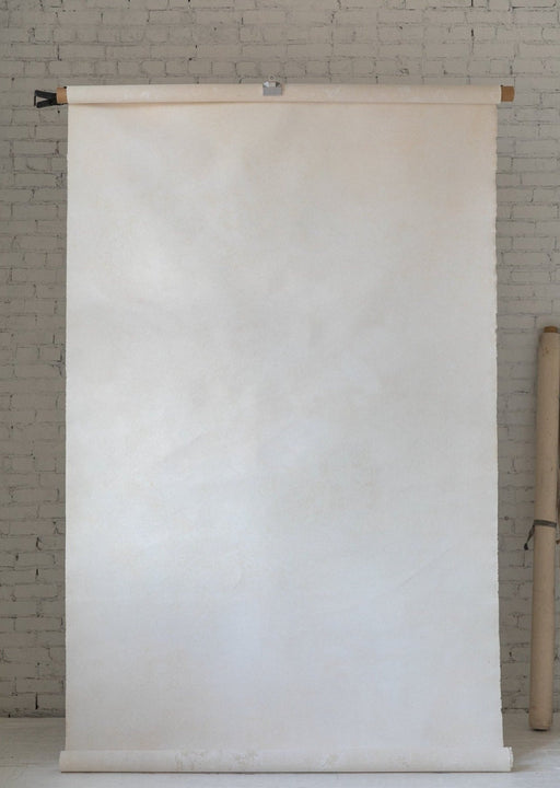 Beach Bleached #0371 // Large+ Hand-Painted Canvas Backdrop.