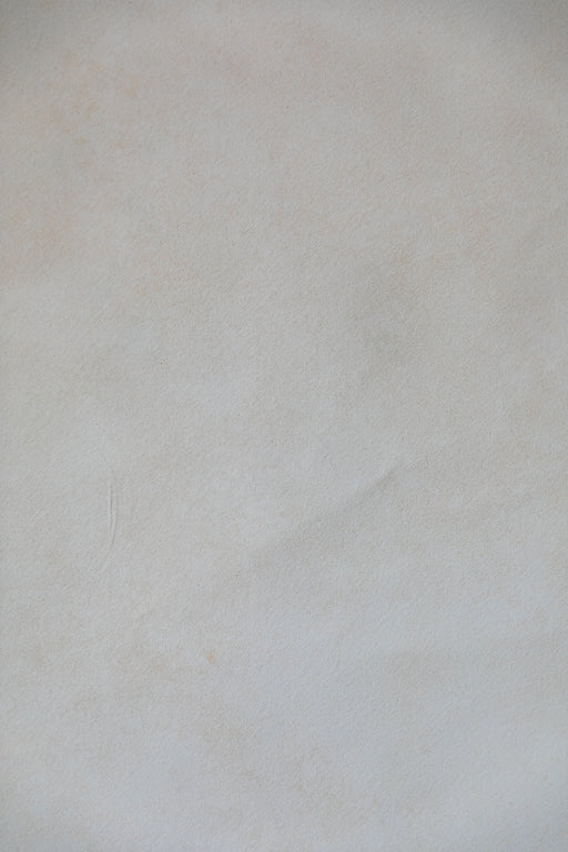 Beach Bleached #0371 // Large+ Hand-Painted Canvas Backdrop.