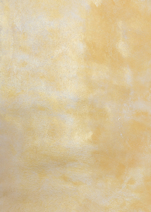 Lux Luxe #0452 // Small Hand-Painted Canvas Backdrop.