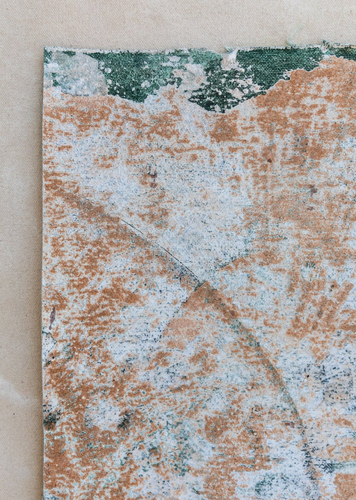 Found Fossil #0464 // Mini Painting.