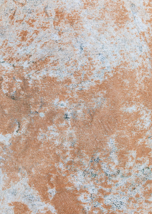 Found Fossil #0464 // Mini Painting.