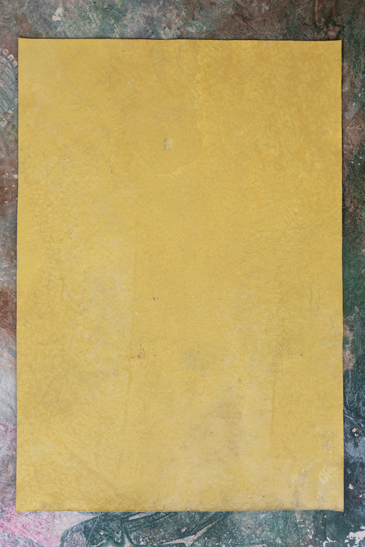 Layered Citrus #0467 // Mini Painting.