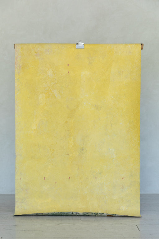 Fresco #0484 // Small Double-Sided Hand-Painted Canvas Backdrop Painting.