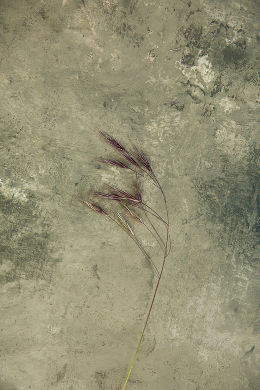 Roasted Artichoke #0501 // Mini Painting.