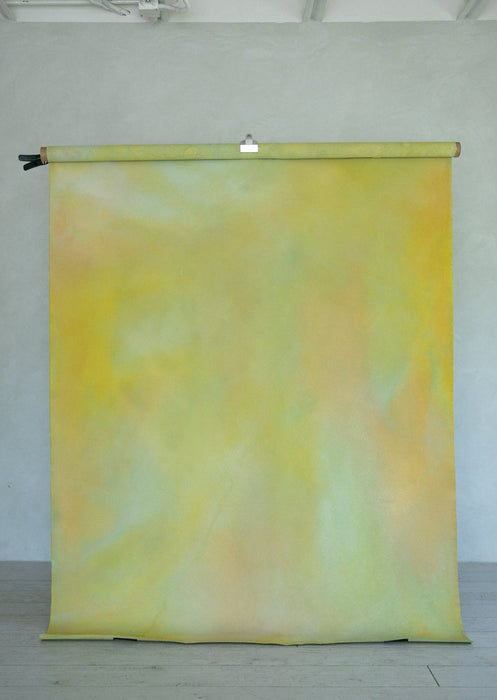 Sunkist #0524 // Medium Hand-Painted Canvas Backdrop Painting.