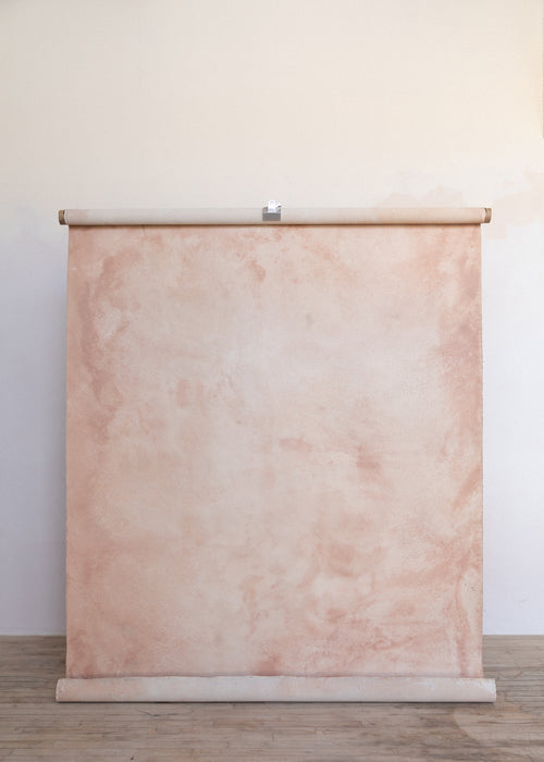 Coral Pink #0577 Sandstone Study Medium Hand-Painted Canvas Backdrop