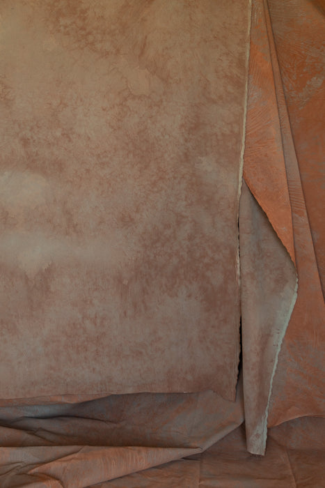 Sandstone & Sage- Backdrop in a Bag