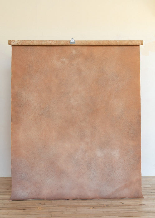 April Fawn #0620 Double-Sided Medium Sandstone Study Hand Painted Canvas Backdrop