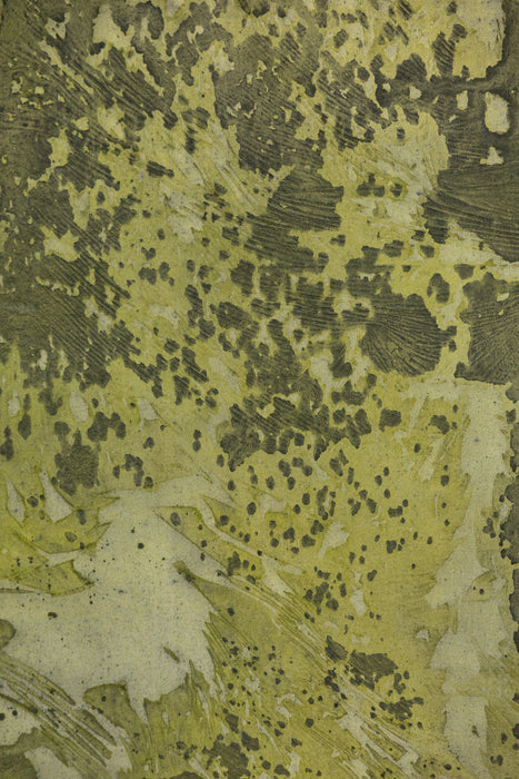 March Moss #0639 Double-Sided Large Hand Painted Canvas Backdrop