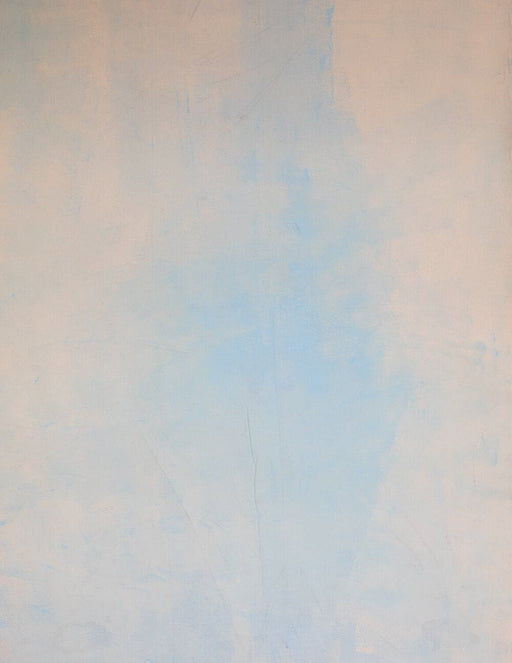 Beach View Hue #0002 // Large Canvas Backdrop.